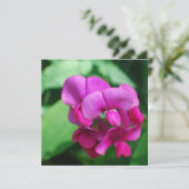 Sweet Pea Invitations 招待状 (スタンド正面)