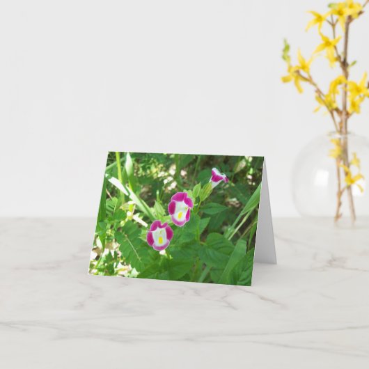 Sweet Pea Noteカード カード (黄色い花)