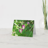 Sweet Pea Noteカード カード (正面)