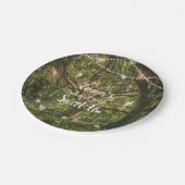 Sweet sixteenに魅了された森の妖精 ペーパープレート (アングル)