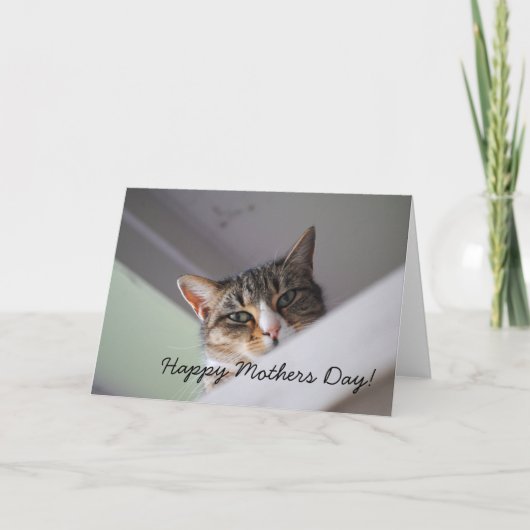 Sweet Tabby Cat Happy Mothers Dayカード カード (正面)