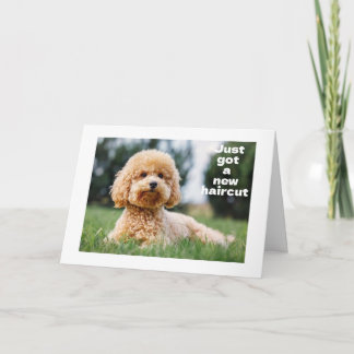 SWEET TEDDY BEARは「HAPPY "60誕生日" カード