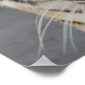 Sweet Tiger ポスター (角)