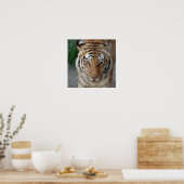 Sweet Tiger ポスター (キッチン)