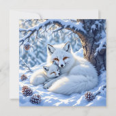 Sweet White Foxes in the Snow (正面)