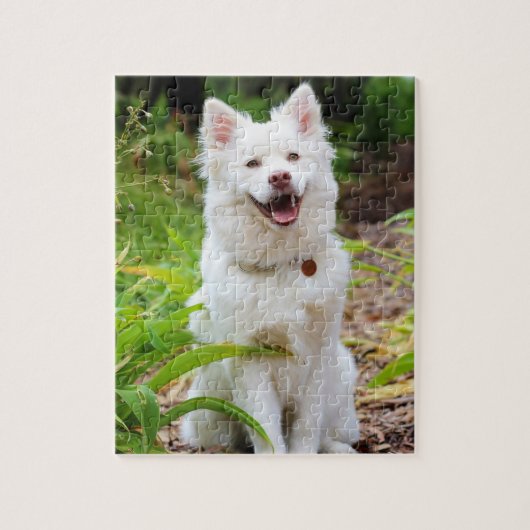 Sweet White Lapp Hund Dog Green Background Photo ジグソーパズル (縦)