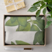 Sweetbay by Mary Vaux Walcott 薄葉紙 (ギフト)