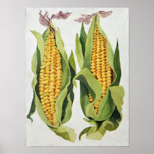 Sweetcorn 2013 ポスター (正面)