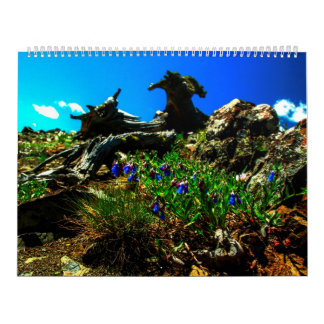 Sweetgrass 2014のカレンダー カレンダー