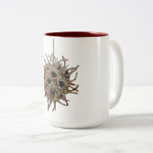 Sweetgumのポッドツートーン15のoz。 マグ(4)の1 ツートーンマグカップ (正面右)