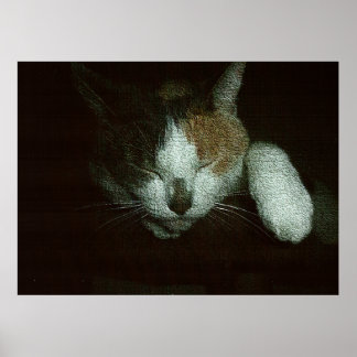Sweetie Sleeping on a Cat Tree ポスター