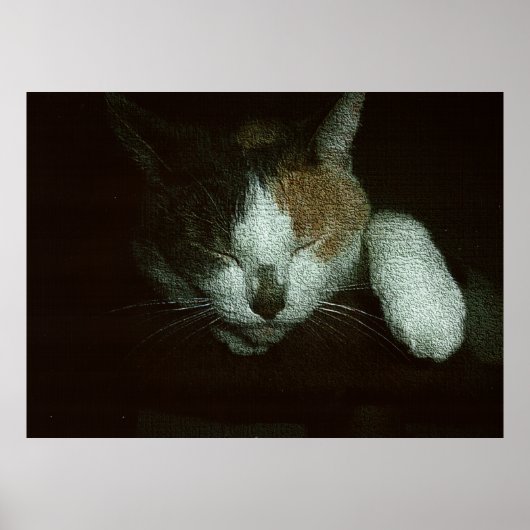 Sweetie Sleeping on a Cat Tree ポスター (正面)