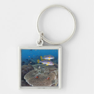 Sweetlipの魚 キーホルダー