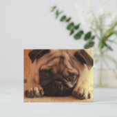 SweetPea Pugsヴィンテージポストカード ポストカード (スタンド正面)