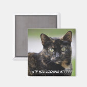 Sweetpea the Tortie マグネット (正面/裏面)