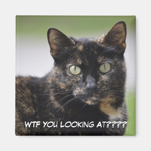Sweetpea the Tortie マグネット (正面)
