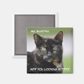 Sweetpea the Tortie マグネット (正面/裏面)