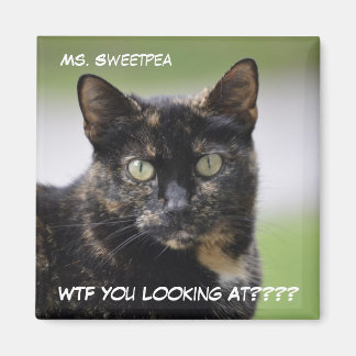 Sweetpea the Tortie マグネット