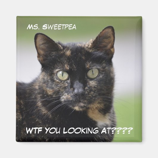 Sweetpea the Tortie マグネット (正面)