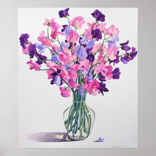 Sweetpeas 2007 ポスター (正面)