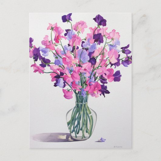 Sweetpeas 2007 ポストカード (正面)