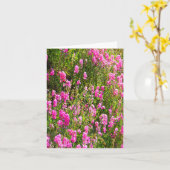 Sweetpeas on the hill.... カード (黄色い花)