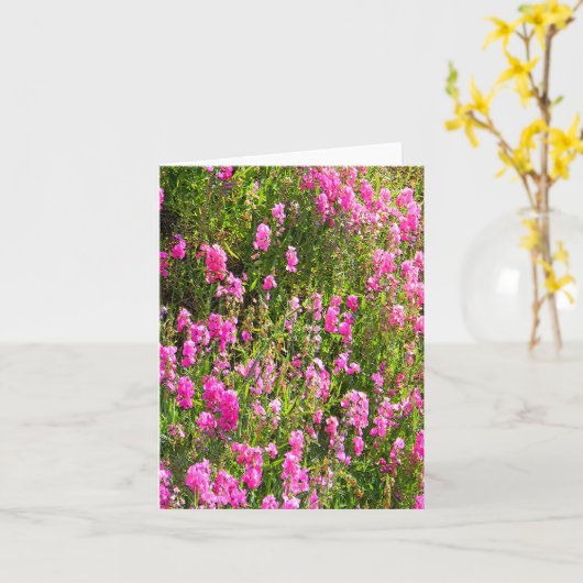 Sweetpeas on the hill.... カード (黄色い花)