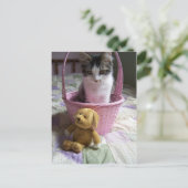 SweetyKittyポストカード ポストカード (スタンド正面)