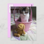SweetyKittyポストカード ポストカード (正面/裏面)