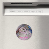 SweetyPegyマグネット マグネット (インサイチュ (食洗機))
