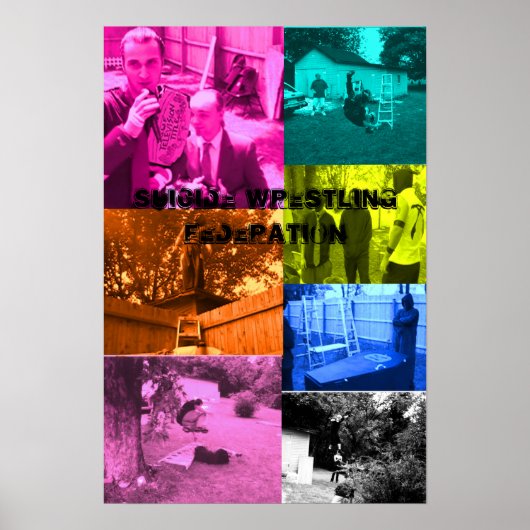 swfマルチカラーポスター ポスター (正面)