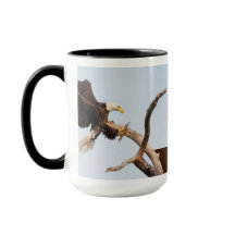 SWFECは得ます近い行為(利用できるさまざまな選択)を