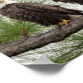 SWFLイーグルカムウォールポスター ポスター (角)