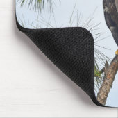 SWFLイーグルカムマウスパッド – E23 マウスパッド (コーナー)