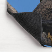 SWFLイーグルカムマウスパッド – M15およびF23 マウスパッド (コーナー)