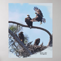 SWFLファミリポートレートE12、E13 Harriet、M15