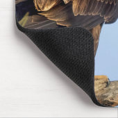 SWFL Eagle Camマウスパッド – E22 & Friend マウスパッド (コーナー)