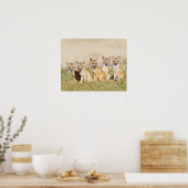 Swiftキツネ(Vulpes macrotis)若いデンバロー， 2 ポスター (キッチン)