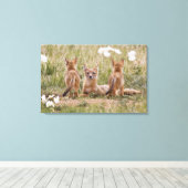 Swiftキツネ(Vulpes velox)若い女性 キャンバスプリント (インサイチュ (ウッドフロア))