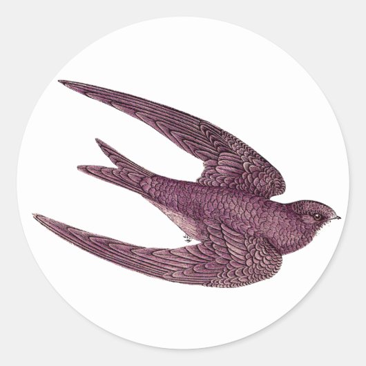 Swift Bird Stickers ラウンドシール (正面)