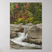 Swift River cascading through rocks, White ポスター (正面)