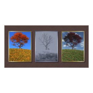Swift the Years Triptychフォトプリント フォトプリント
