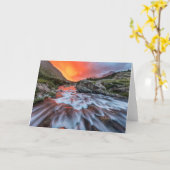 Swiftcurrent Falls | Glacier National Park Montana カード (黄色い花)