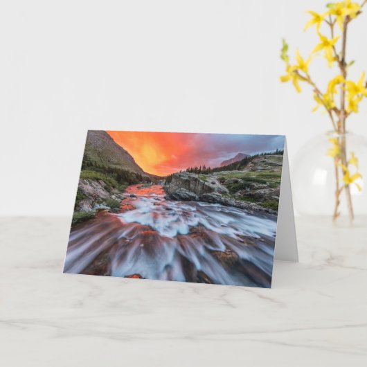 Swiftcurrent Falls | Glacier National Park Montana カード (黄色い花)