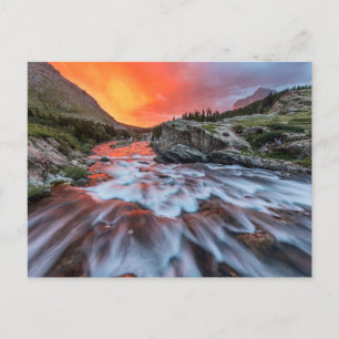 Swiftcurrent Falls   Glacier National Park Montana ポストカード