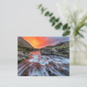 Swiftcurrent Falls | Glacier National Park Montana ポストカード (スタンド正面)