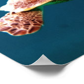 SWIMMING SEA TURTLE ポスター (角)