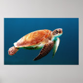 SWIMMING SEA TURTLE ポスター (正面)