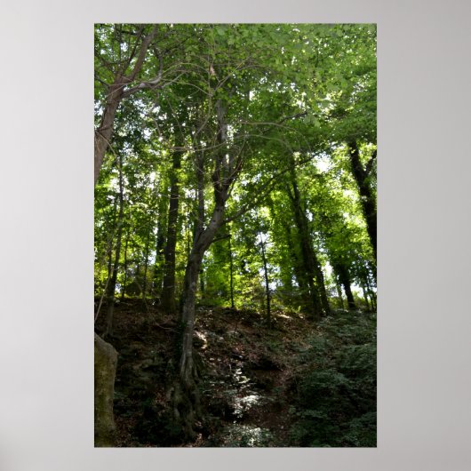 Swingとツリーのポスター ポスター (正面)