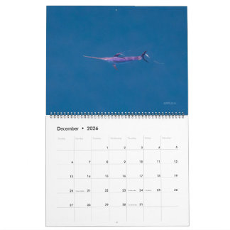 Swordfish Only Calendar 2026 カレンダー